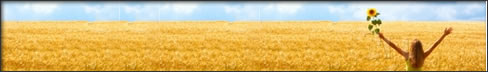 Petróleo, Petroquímico & Biodiesel e Etanol
