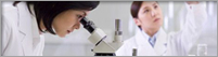 Laboratório